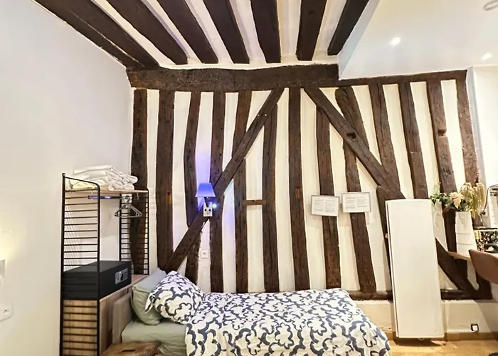 St Paul Marais Flat Ground Floor Apartment Paris